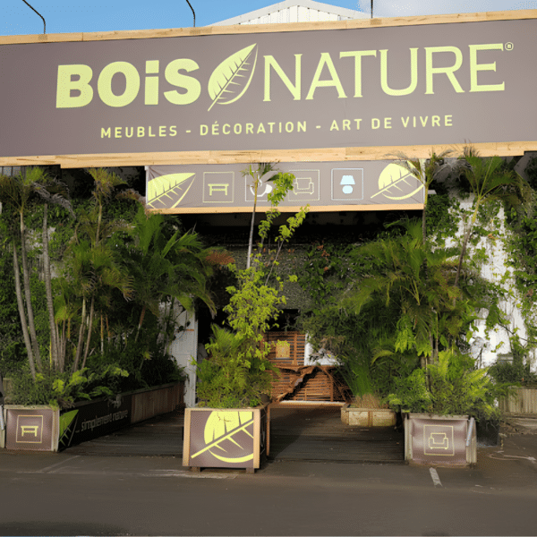 Paranocta vendu par Bois Nature le Lamentin Martinique